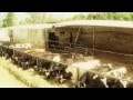 Soy de Rancho