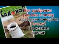 Все удобрения внесены в почву, а растения голодают. Почему? 6 основных причин