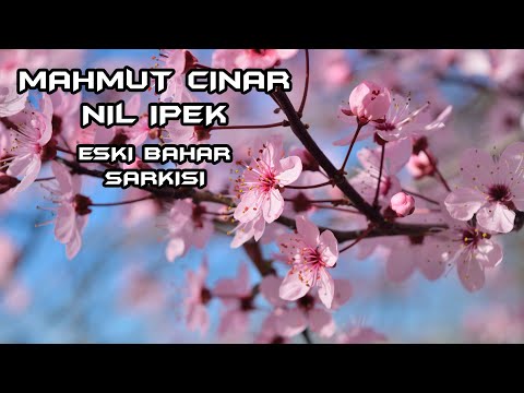 Mahmut Çınar \u0026 Nilipek - Eski Bahar Şarkısı (Sen Oku)