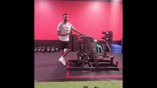 F.S Library  - Single leg Reverse hyperextension