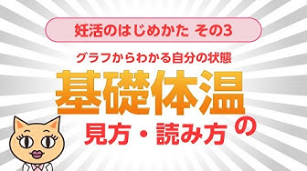 基礎体温 Youtube