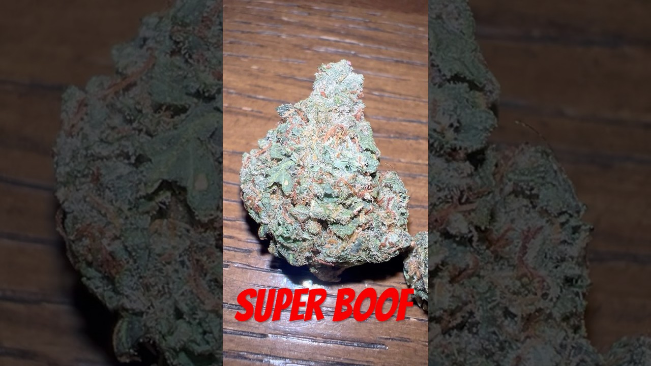 Super boof strain review