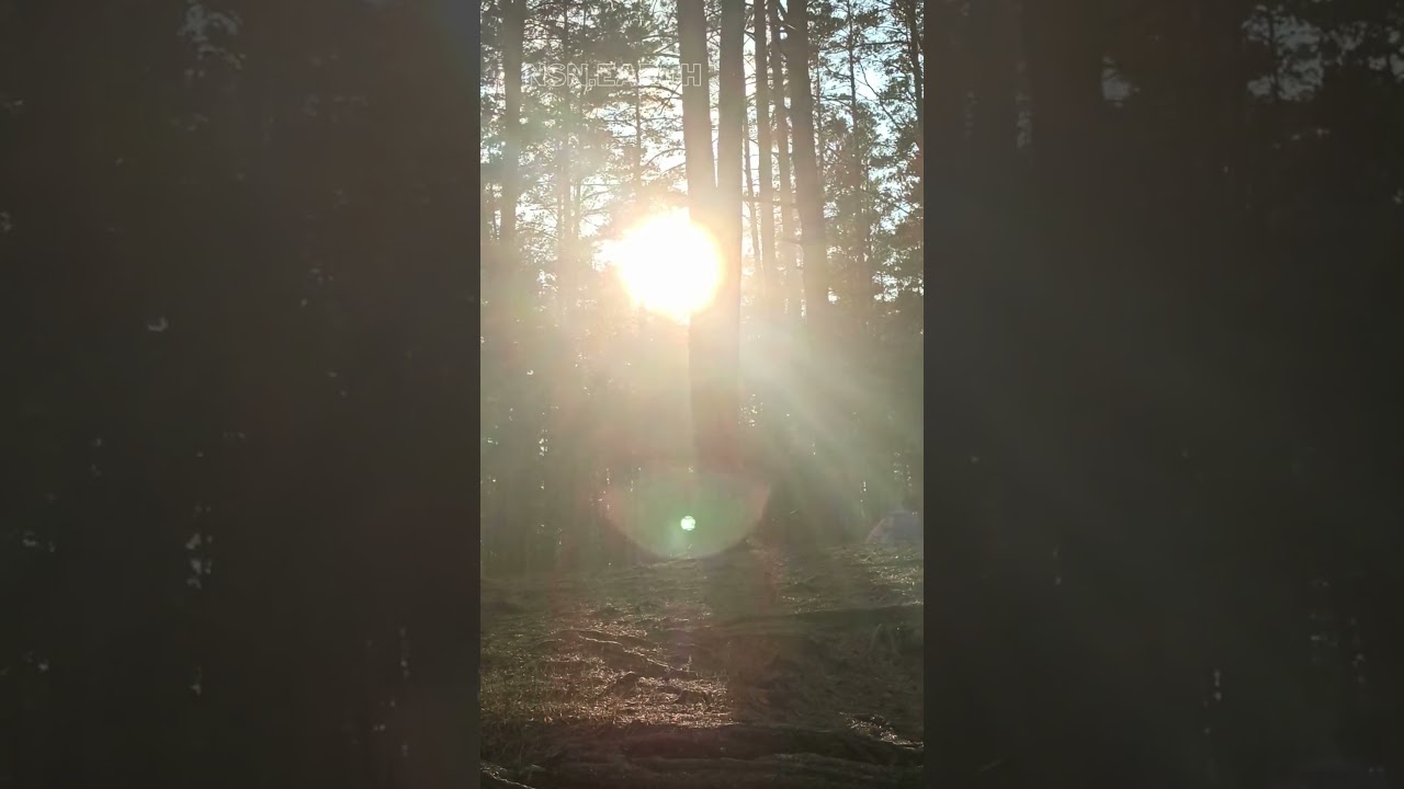 A Sci-Fi ASMR Experience ✨✨✨