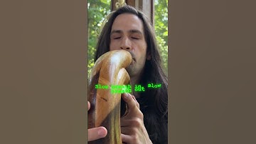 Play Didgeridoo#HeartTone #GreenLight #Didgeridoo #viralreels #breathe #dream #relaxing #zapalandrox