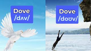 Exploring the Dual Nature of 'Dove': Bird vs. Action