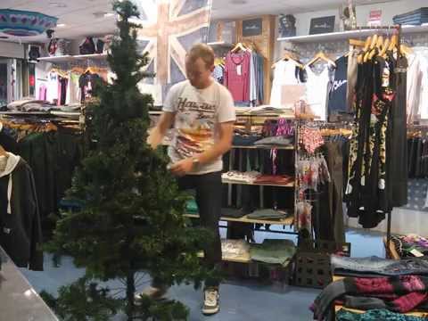 Video: Lisateave rosmariini jõulupuutaimede kohta – rosmariini hoidmine jõuludeks