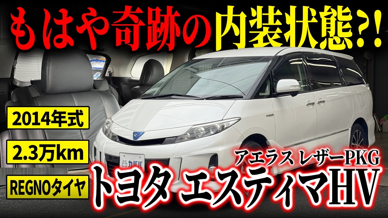 ロケテスト版　超高速カードレーサー　トヨタ　エスティマ　Ｔ　アエラス A Secretly Popular Minivan!] You've Never Seen Leather This Clean