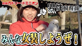 男性の動物園飼育員は、みんな女装した方が動物に好かれる説を検証