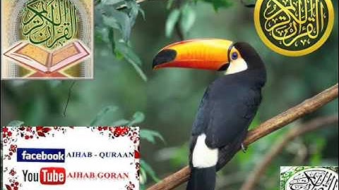 094 - سورة الشرح - يوسف كالو