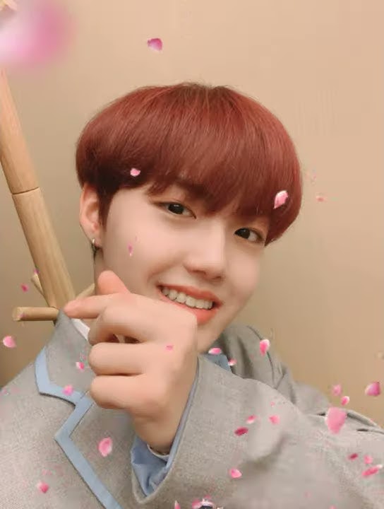 Treasure - Kim Doyoung (perfect)