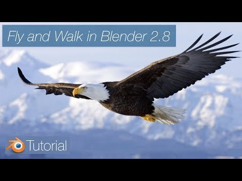 [2.8] How to Fly and Walk in Blender, Quick Tutorial