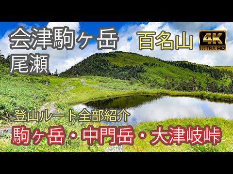 至仏岳　燧ヶ岳　会津駒ヶ岳　越後駒ヶ岳　巻機山　大型山岳模型透明ケース無し 至仏岳 燧ヶ岳 会津駒ヶ岳 越後駒ヶ岳 巻機山 大型山岳模型透明
