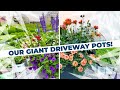 Unveiling our giant driveway pots