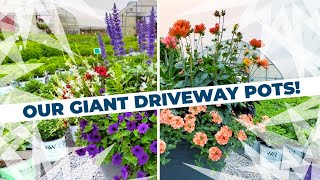 Unveiling Our Giant Driveway Pots