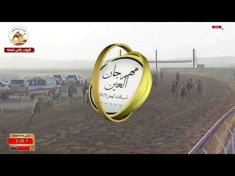 الشوط 7 الشميمي ل محمد سيف سهيل كلثم الخييلي 6 00 11 ختامي مهرجان العين 2025
