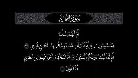 أم خلقوا من غير شيء أم هم الخالقون قرآن شاشة سوداء | صالح القريشي شاشة سوداء سورة الطور
