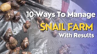 Secrets to Successful Snail Farm Management
