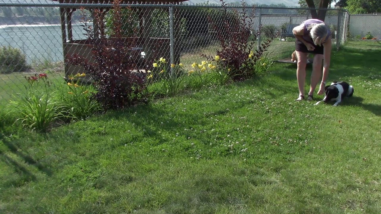 Fiji MovingDown 28July18