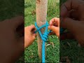 this knot is often used for pulling heavy objects #knottutorial #diy #shorts #rope #knot #knotskill