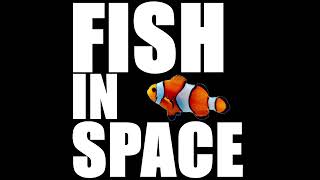 soweli. - FISH IN SPACE
