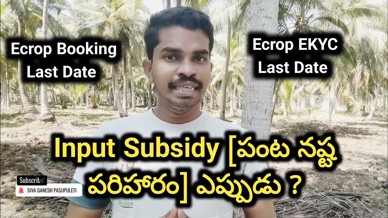Input Subsidy for AP Farmers 2023-24 | Ecrop Booking Last Date - Ecrop Ekyc Last Date || Siva Ganesh