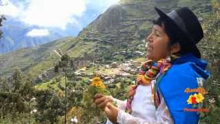 Remillita de pujas Clavel perfumado 2014 chords