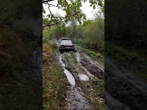 Нива сила