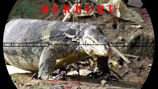 PENGENDALIAN HAMA//PEST CONTROL BIAWAK EMPANG BELAKANG RUMAH screenshot 3