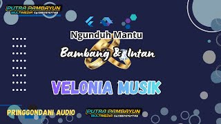 live Setriming // Velonia Musik // Putra Pambayun