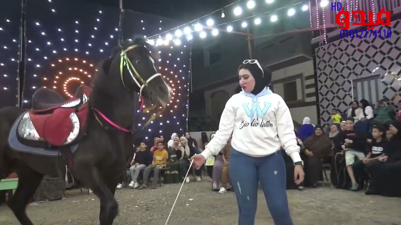 عبير بنت بلقاس #خيل #عبير 01012174110