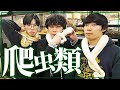 爬虫類と触れ合ってきました【cacao】