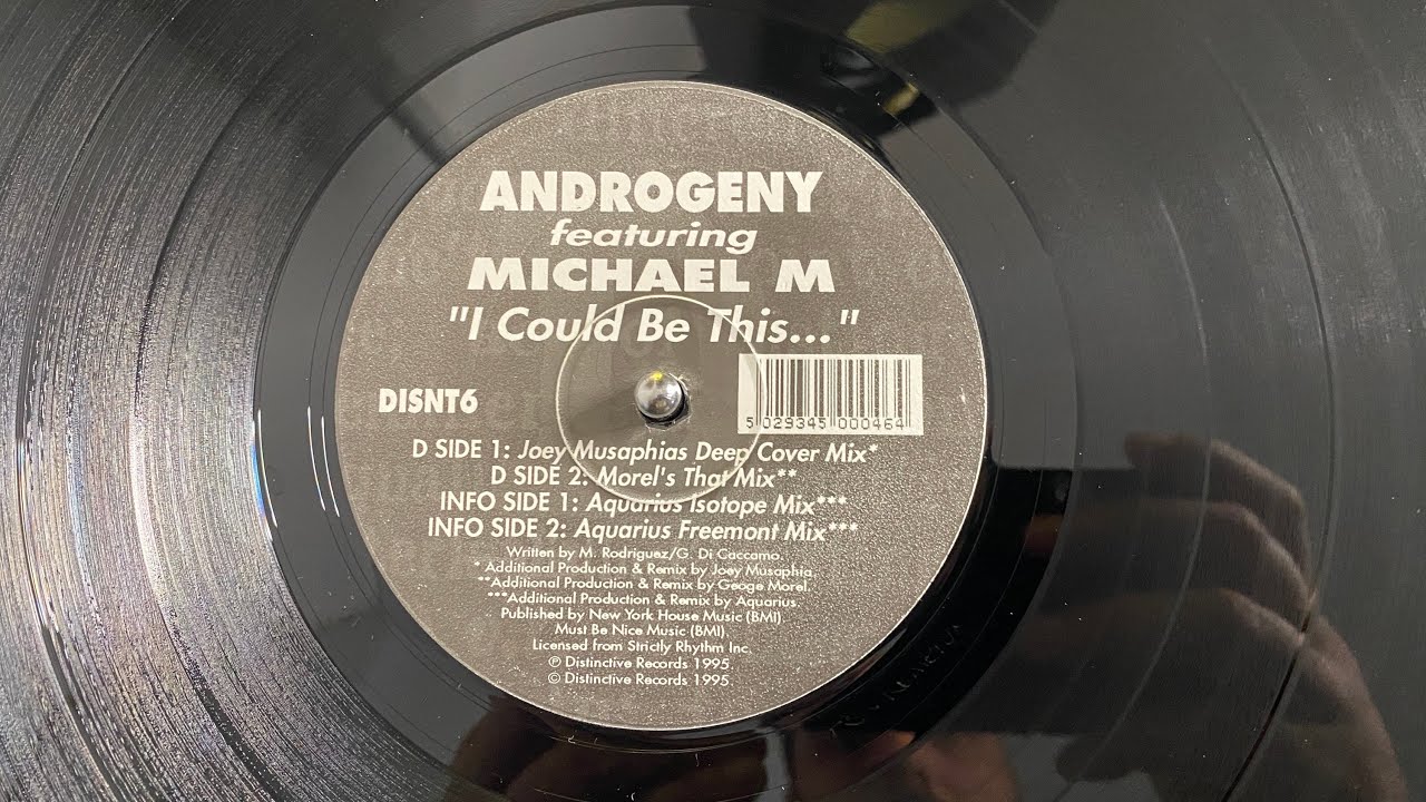 Androgeny — Androgeny Featuring Michael M – I Could Be This