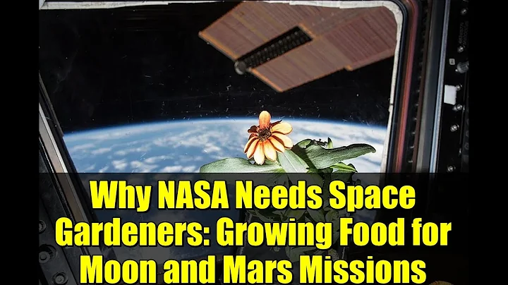 Why NASA Needs Space Gardeners: Growing Food for Moon and Mars Missions