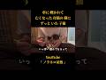『車に轢かれて 亡くなった母猫の側に ずっといた子猫②【後編】』 #cat #保護猫活動 #保護猫 #子猫保護 #野良猫 #catrescue #rescuecat #ノラネコ屋敷