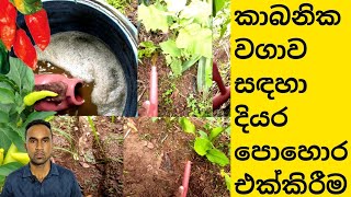 Addition of liquid fertilizer for organic farming | kabanika diyara pohora | kabanika wagawa