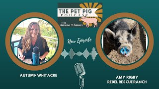 Amy Rebel Rescue Ranch  The Pet Pig Podcast