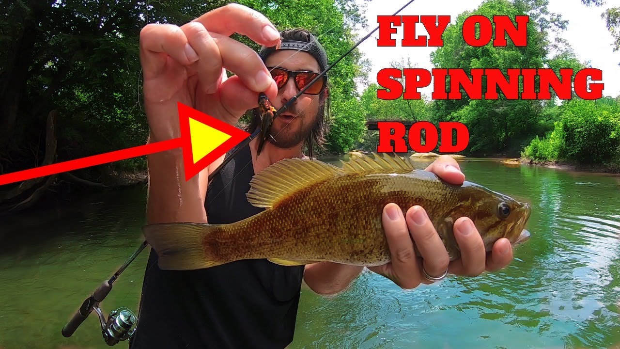 Fly Fishing With A Spinning Rod [KEY TIPS] How To Fly Fish With