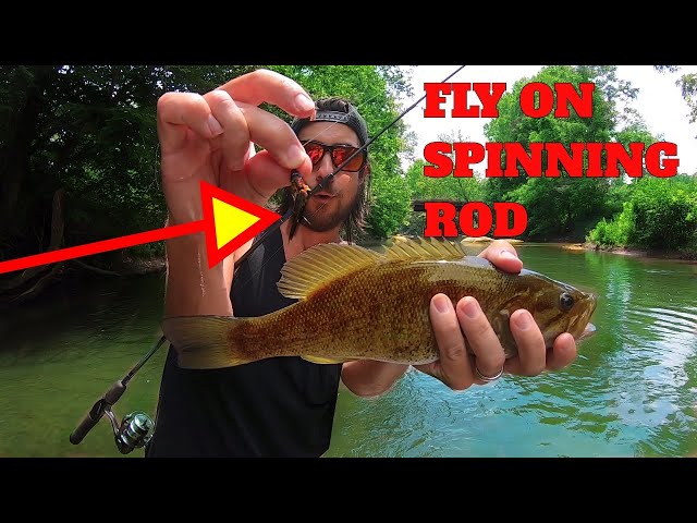 Fly Fishing With A Spinning Rod [KEY TIPS]: How To Fly Fish With Spinning  Rod & Reel