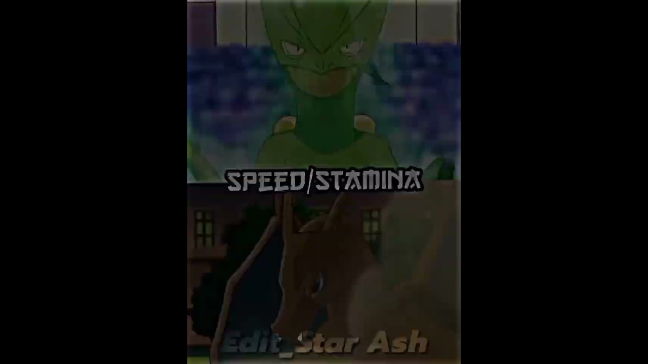 Ash Charizard vs Ash Sceptile | 