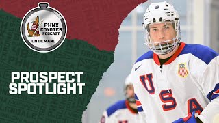 How NHL Draft prospect Ryan Leonard could potentially fit with the Arizona Coyotes
