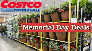 Costco Garden Memorial Day Deals Veggies, Japanese Maple, Evergreen, Shrub, Fern, Flower, Houseplant