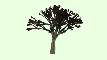 Tree Grow Animation Test ( Maya + Paint FX )