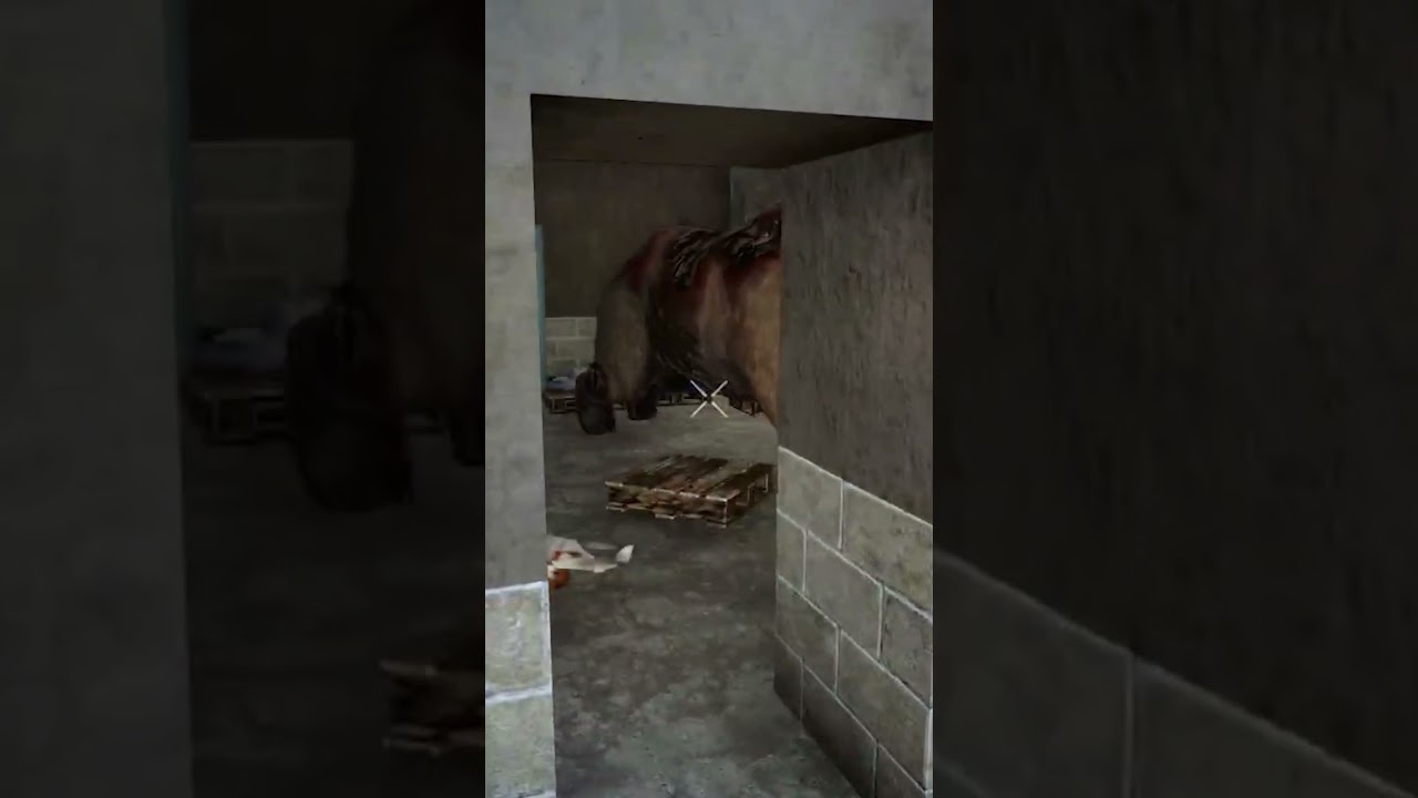 Zombie Bears 🐻 Can Fit Through the 🚪| 