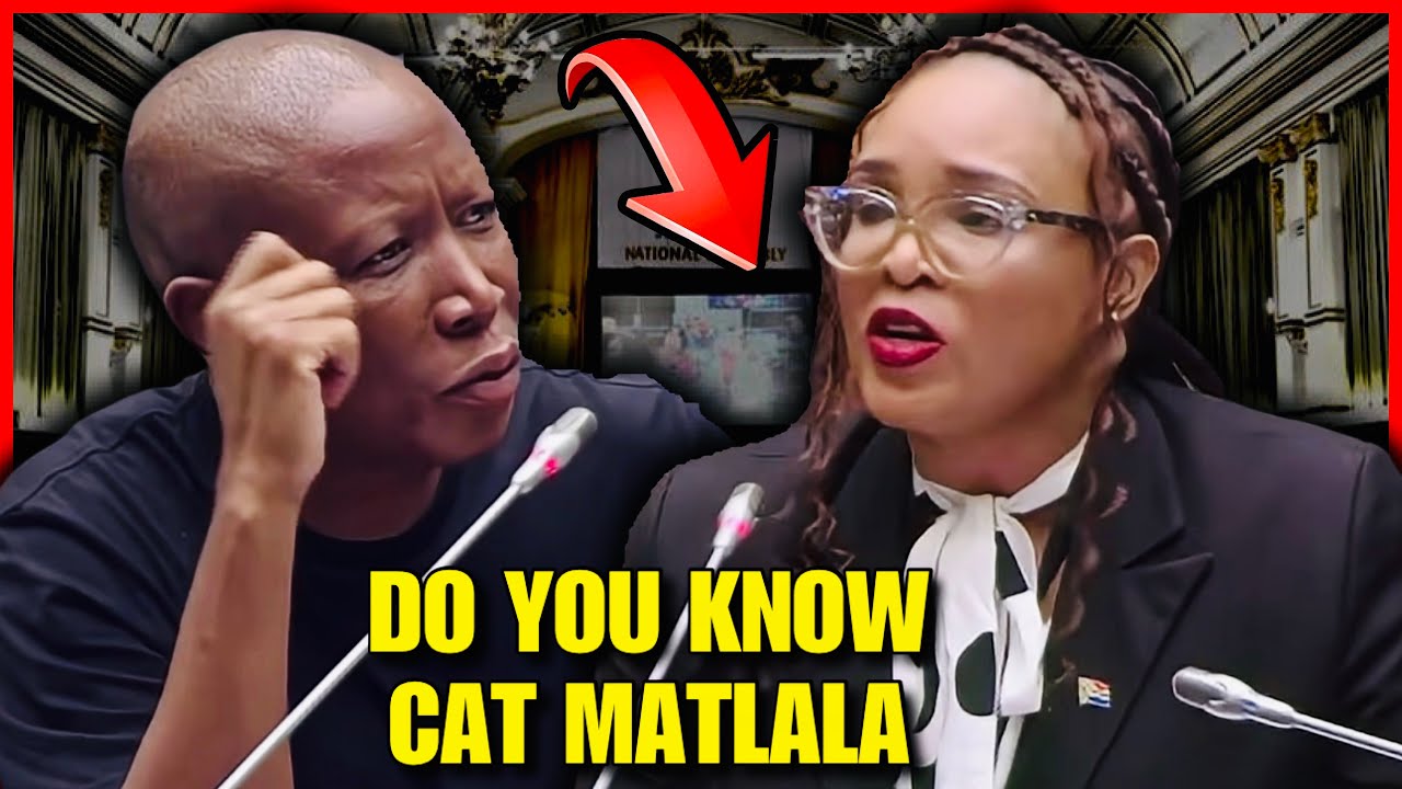 Julius Malema Tough Questions To The Witness