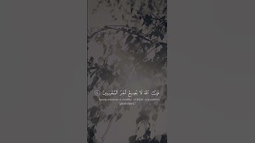 إنه من يتق و يصبر 🤍 #سعود_الشريم #قرآن #quran #سورة_يوسف #ترتيل #الحمدلله #alhamdulillah #islam