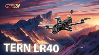 ☀ Свежий 4 дюймовый дрон, новинка или обновление? [GEPRC Tern-LR40]