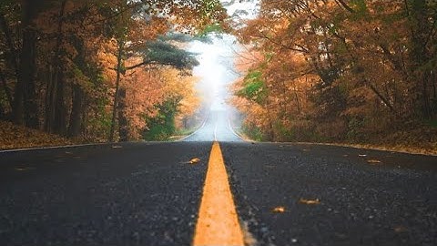 Why I Haven’t Posted Much + Future Plans For My Channel