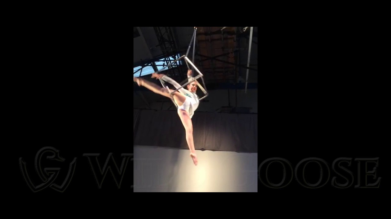 Contortionist - Wild Goose Management - YouTube