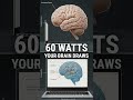 57. 🧠 Printing Human Neural Networks on Chips