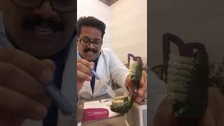 1How to brush ur teeth